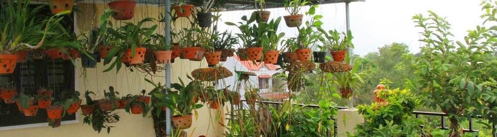 Leaf Homestay ฮอยอัน ภายนอก รูปภาพ