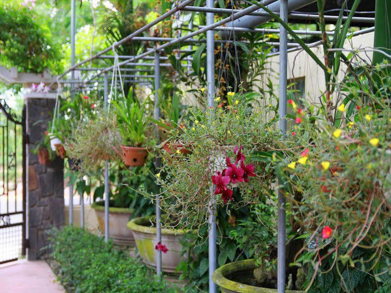 Leaf Homestay ฮอยอัน ภายนอก รูปภาพ