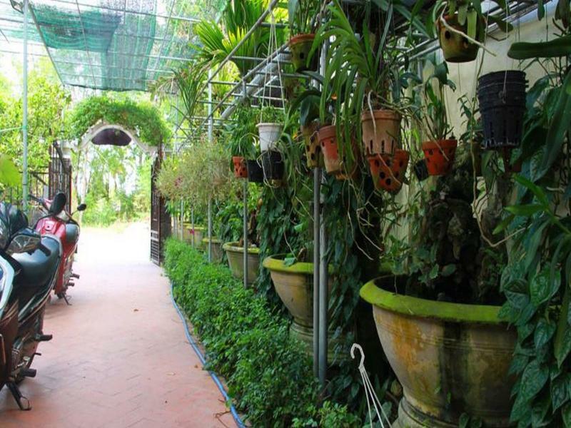 Leaf Homestay ฮอยอัน ภายนอก รูปภาพ