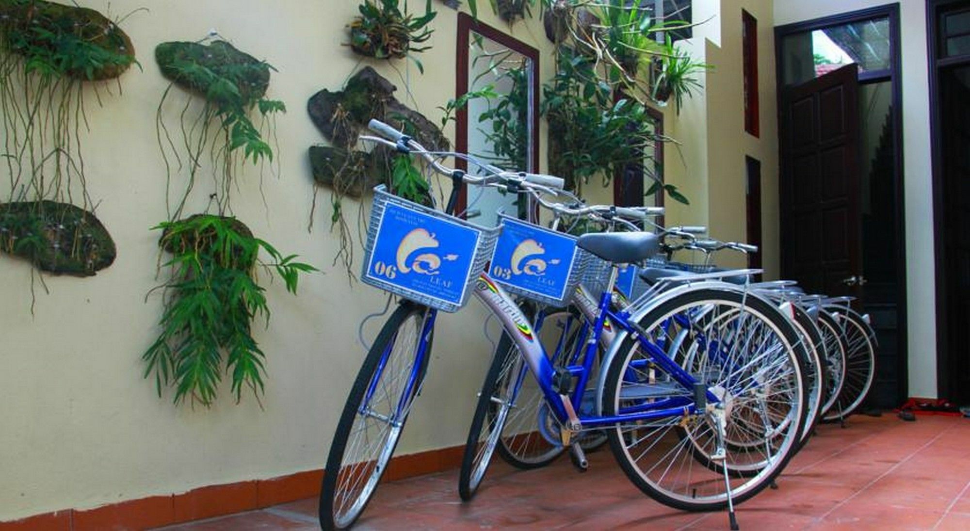 Leaf Homestay ฮอยอัน ภายนอก รูปภาพ